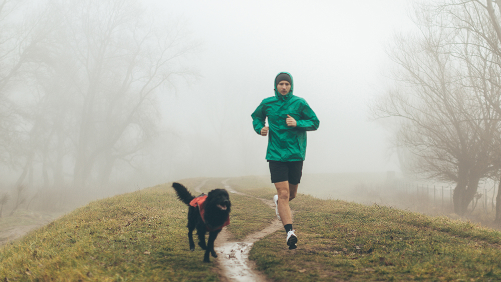 rimani attivo questo inverno, uomo che corre in una giornata fredda, umida e nebbiosa con il cane in campagna